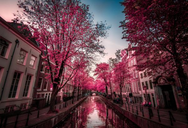 City Landscape by inviv0