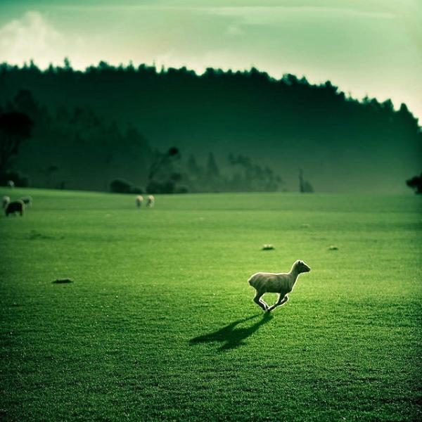 Landscape Photography by Andrew Smith