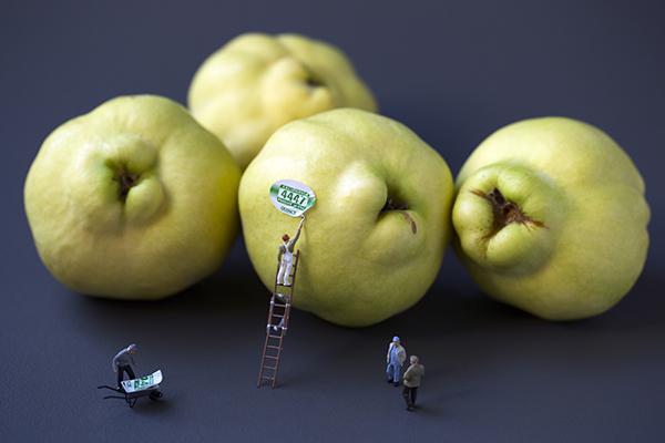 Big Appetites by Christopher Boffoli