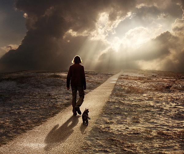 Photomontages by Mattijn Franssen