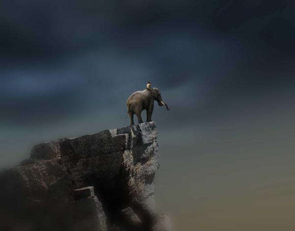 Photography by Dheny Patungka