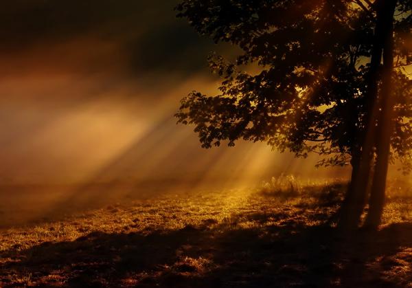 Photography by Waldemar Wienchol