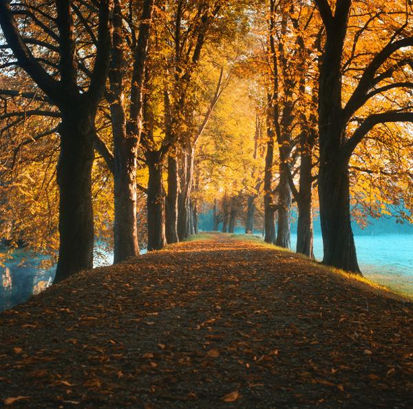 Photography by Waldemar Wienchol