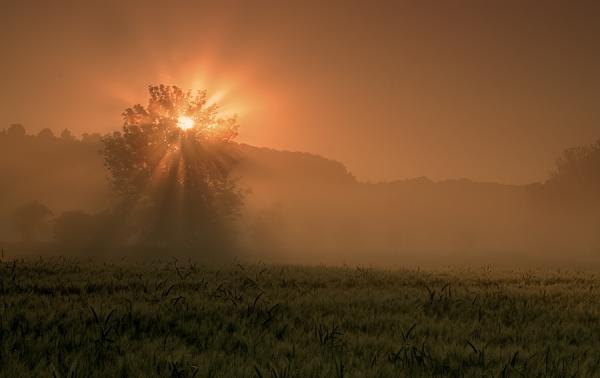 Photography by Waldemar Wienchol