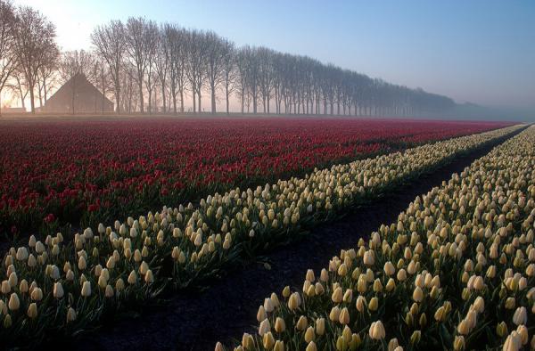Photography by Waldemar Wienchol