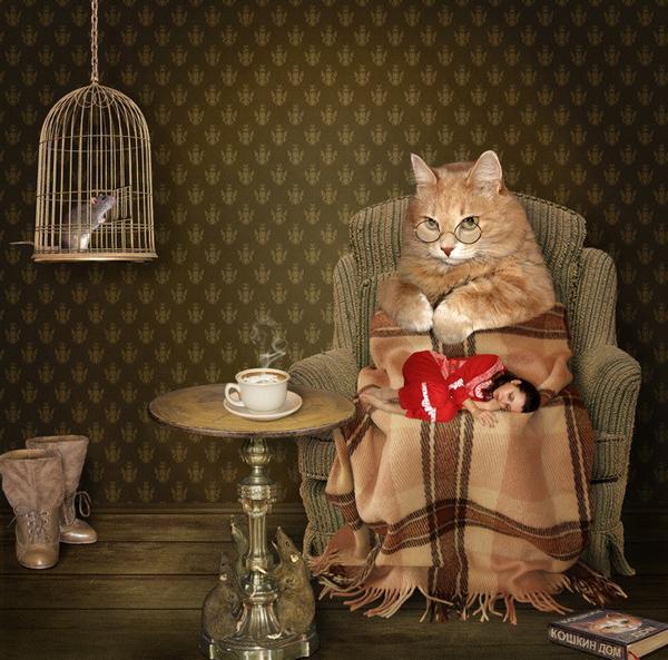 50+ Funny Cat Pictures