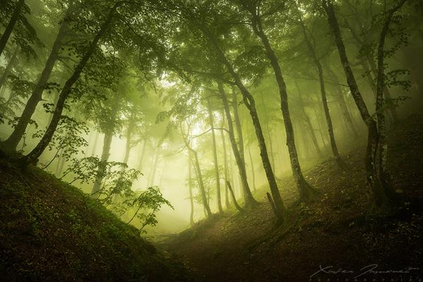 Landscape Photography by Xavier Jamonet