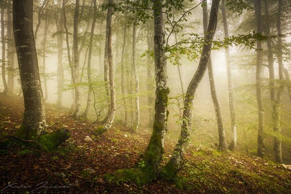 Landscape Photography by Xavier Jamonet