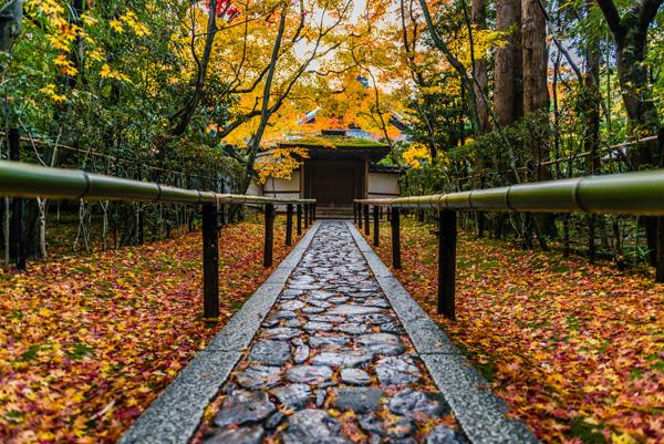 Landscape Photography by Takk Bulkington