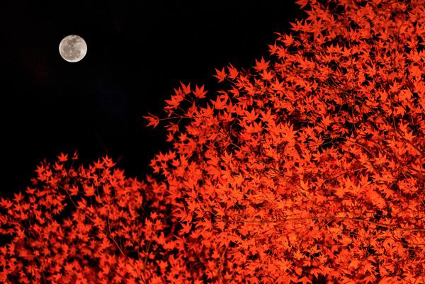 Landscape Photography by Takk Bulkington