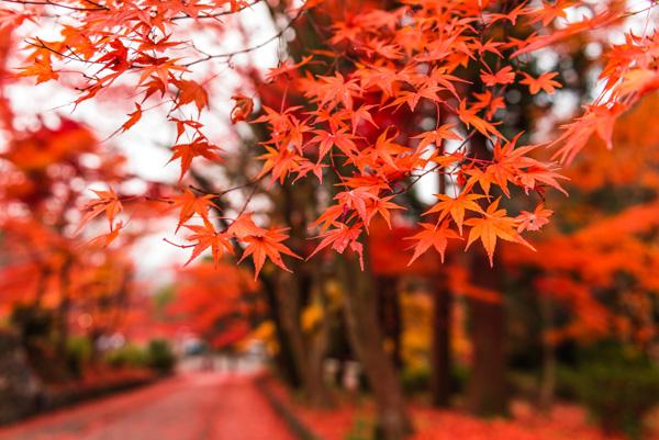 Landscape Photography by Takk Bulkington