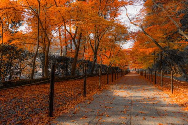 Landscape Photography by Takk Bulkington