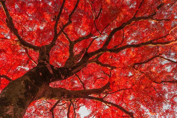 Landscape Photography by Takk Bulkington