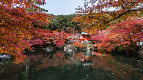 Landscape Photography by Takk Bulkington
