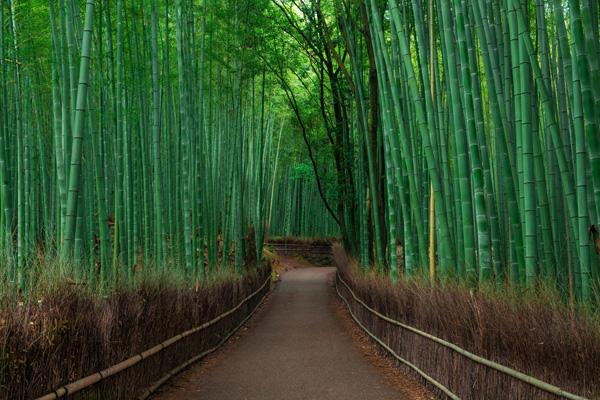 Landscape Photography by Takk Bulkington