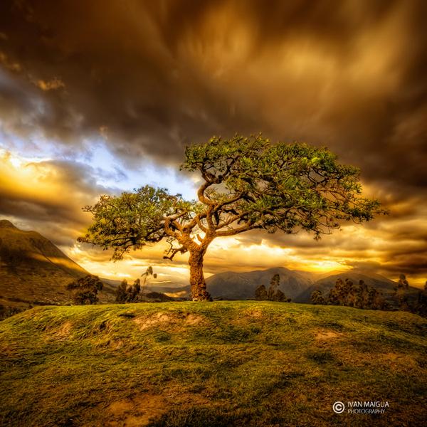 Beautiful Photography by Ivan Maigua