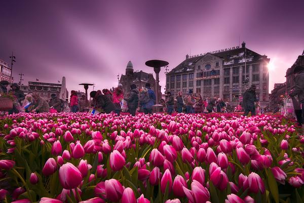 Beautiful Photography by Ivan Maigua