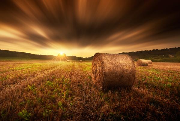 Beautiful Photography by Ivan Maigua