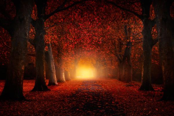 Beautiful Photography by Ivan Maigua