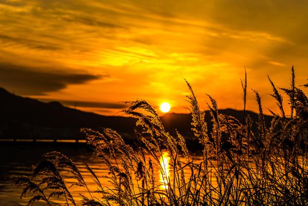 55 Sunset Pictures