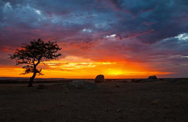 55 Sunset Pictures