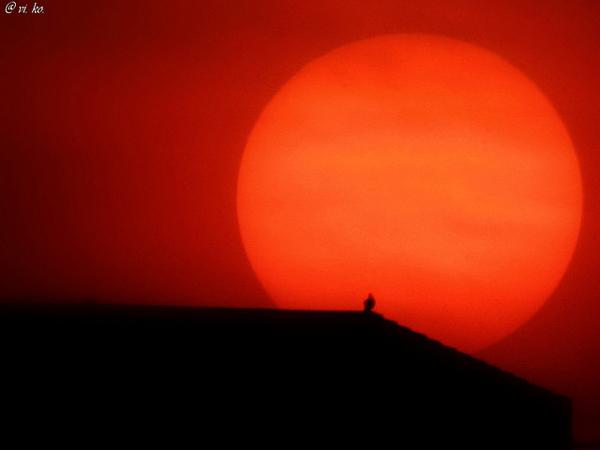 55 Sunset Pictures