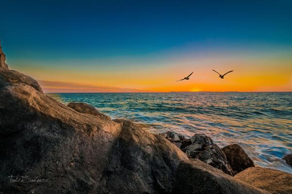 55 Sunset Pictures