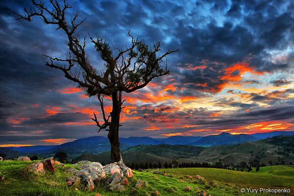 55 Sunset Pictures