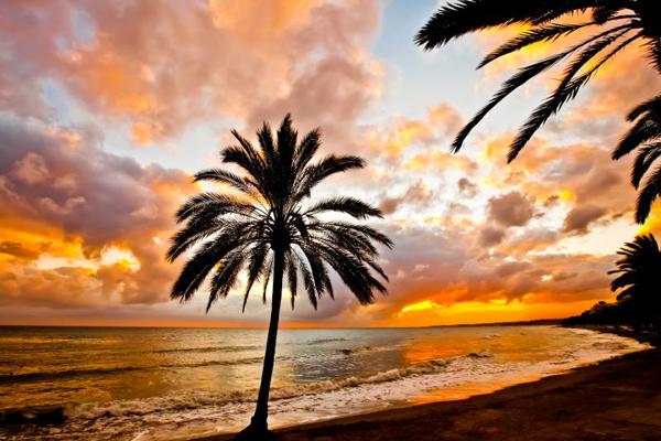 55 Sunset Pictures