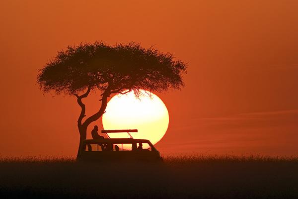55 Sunset Pictures