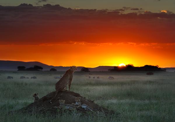 55 Sunset Pictures