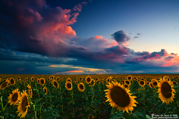 55 Sunset Pictures