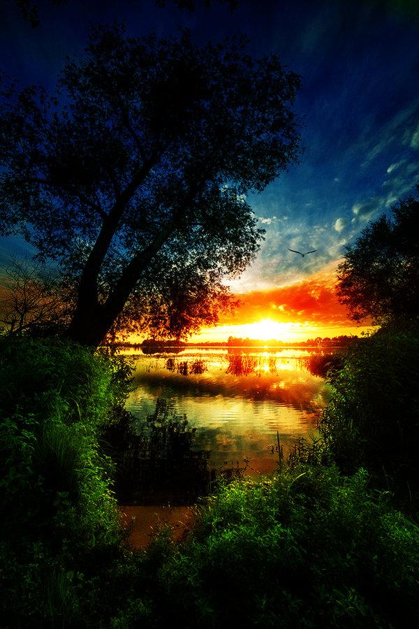55 Sunset Pictures