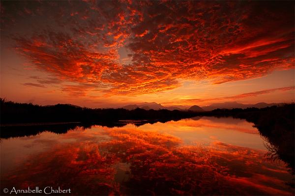 55 Sunset Pictures