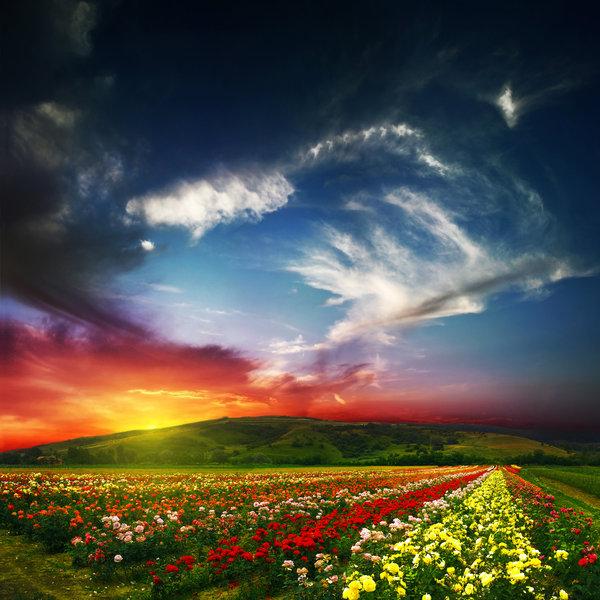 55 Sunset Pictures