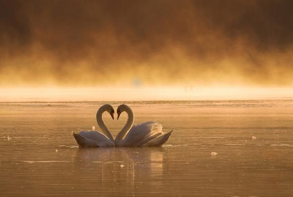 Photography by Przemysław Kruk