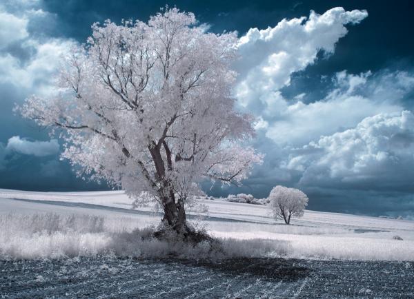 Photography by Przemysław Kruk