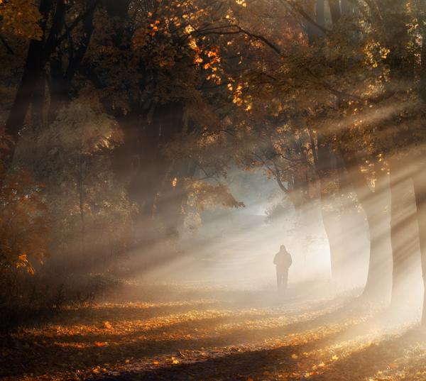Photography by Przemysław Kruk