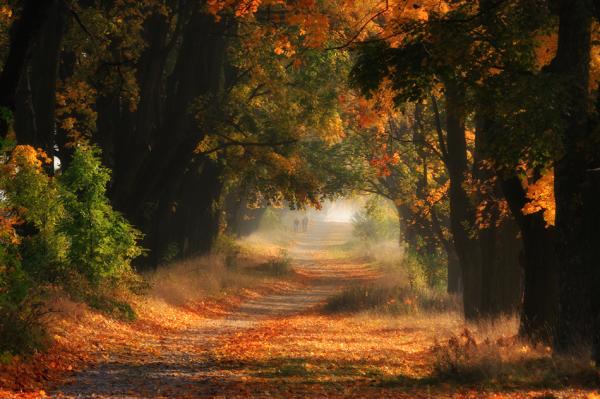 Photography by Przemysław Kruk