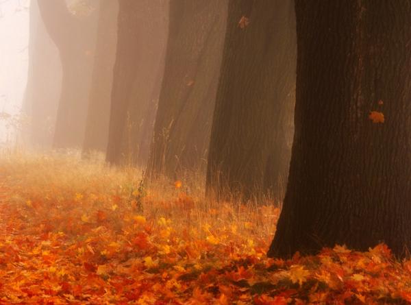 Photography by Przemysław Kruk