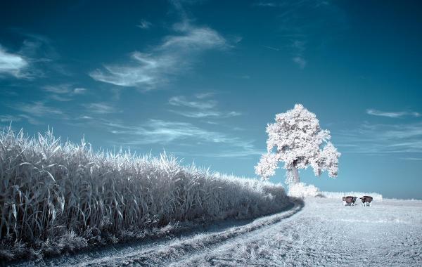 Photography by Przemysław Kruk