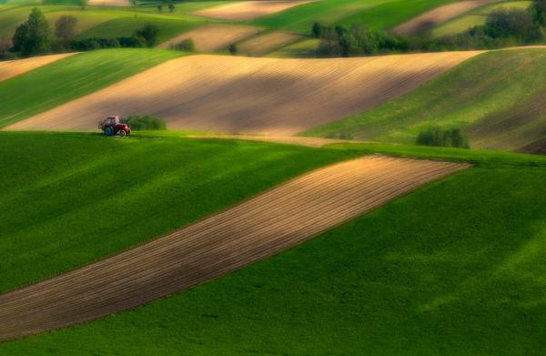 Photography by Przemysław Kruk