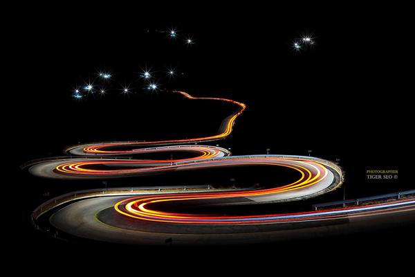 Photography by Tiger Seo
