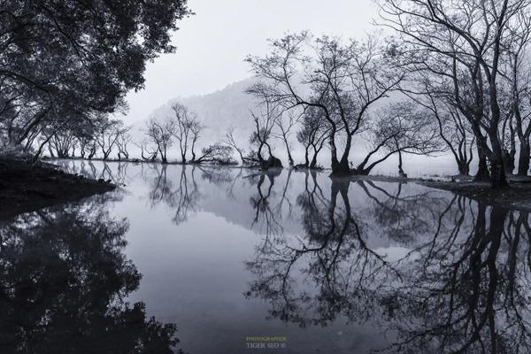 Photography by Tiger Seo
