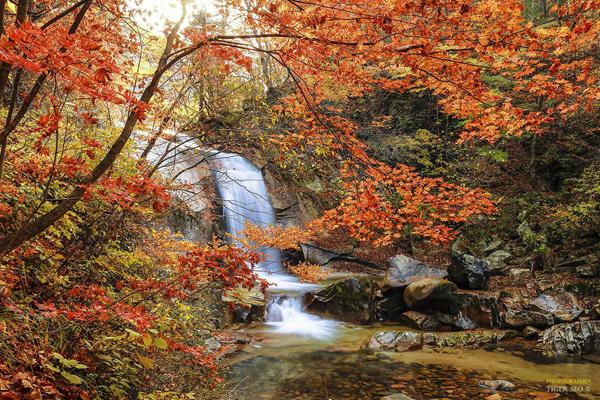 Photography by Tiger Seo