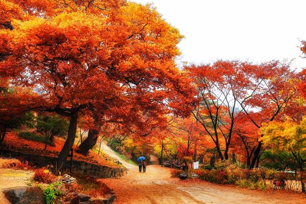 Photography by Tiger Seo