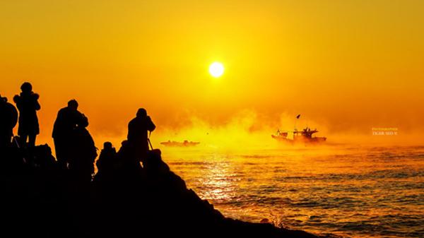 Photography by Tiger Seo