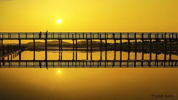 Photography by Tiger Seo