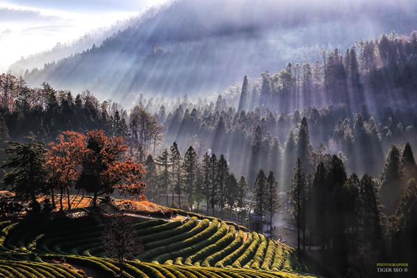 Photography by Tiger Seo