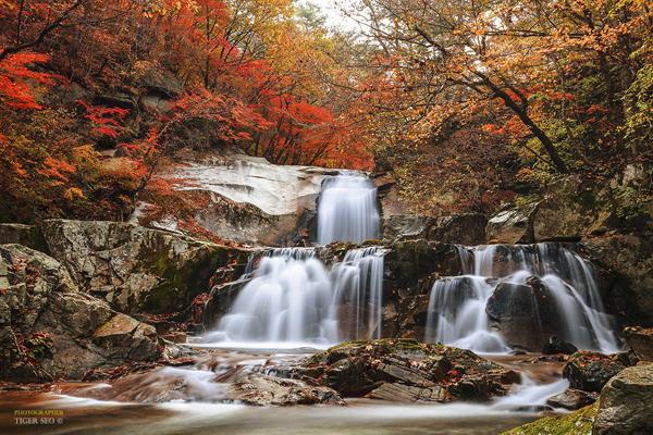 Photography by Tiger Seo